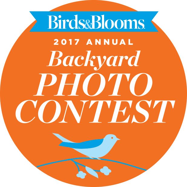 Win $1,000! Enter Our Photo Contest